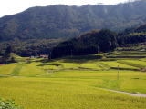 R(844m)